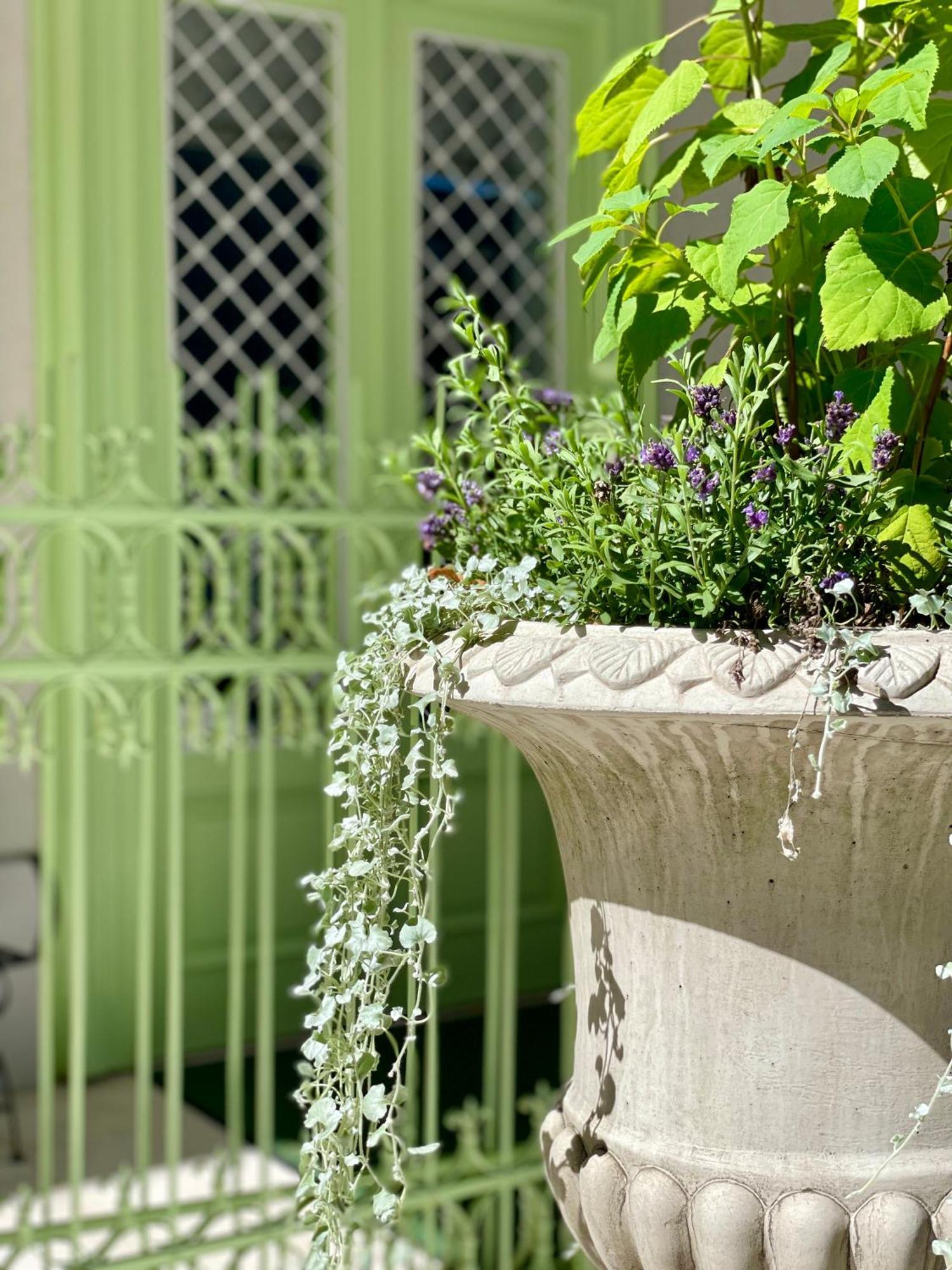 Villa Wickenburg Salzburg Zewnętrze zdjęcie